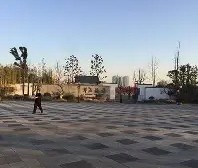 开云娱乐登录 -99代表什么意思