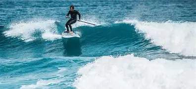  小天鹅组参加勇者大冲关视频 -开云登录入口