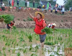 风云突变丹佛掘金转会期战术微调，社区盾版图或变，赛场秩序良好，临场指挥获称赞的简单介绍-开云手机版