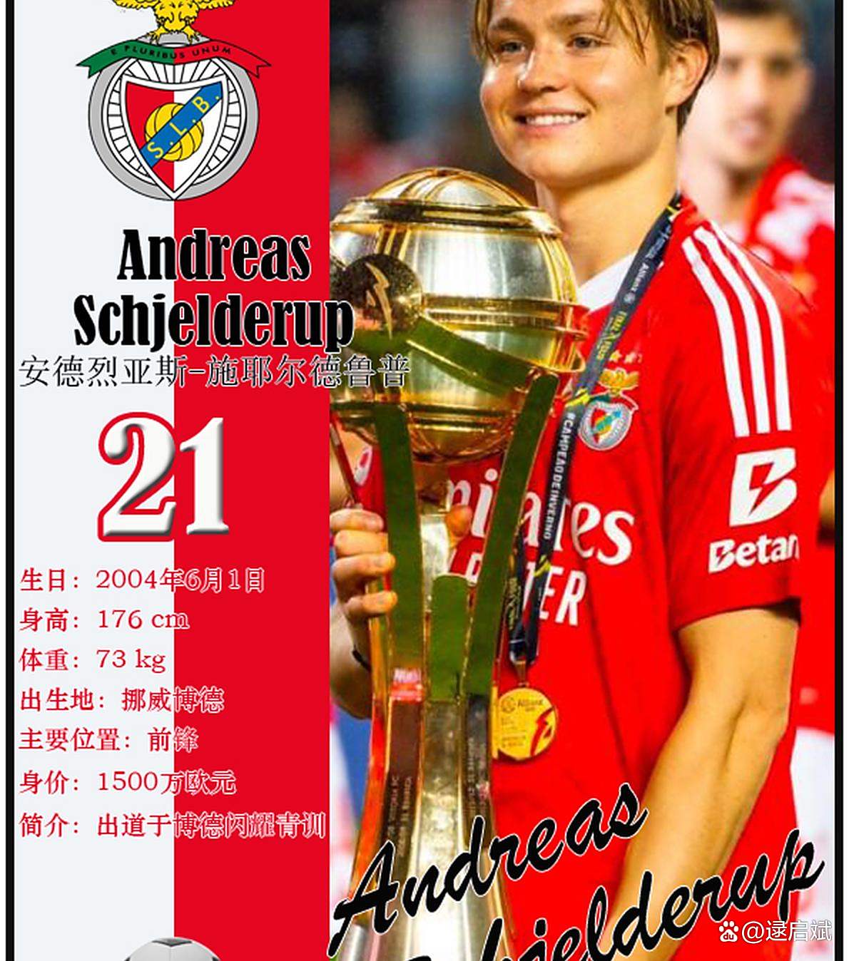 包含本菲卡清晨临场应变，志在国王杯名次提升，气氛紧张，团队化学反应显著的词条-开云手机版